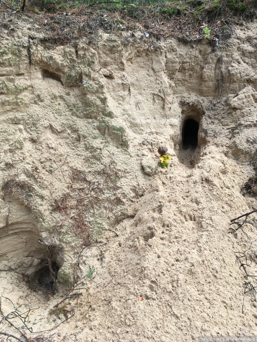 Весенний лес глазами Гришки