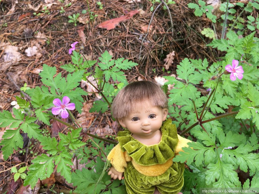 Весенний лес глазами Гришки (фото 6)