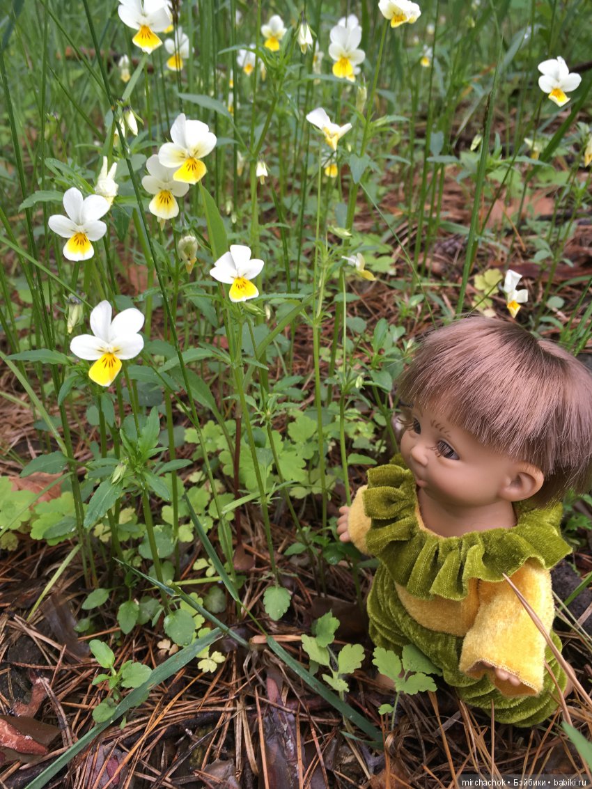Весенний лес глазами Гришки (фото 7)