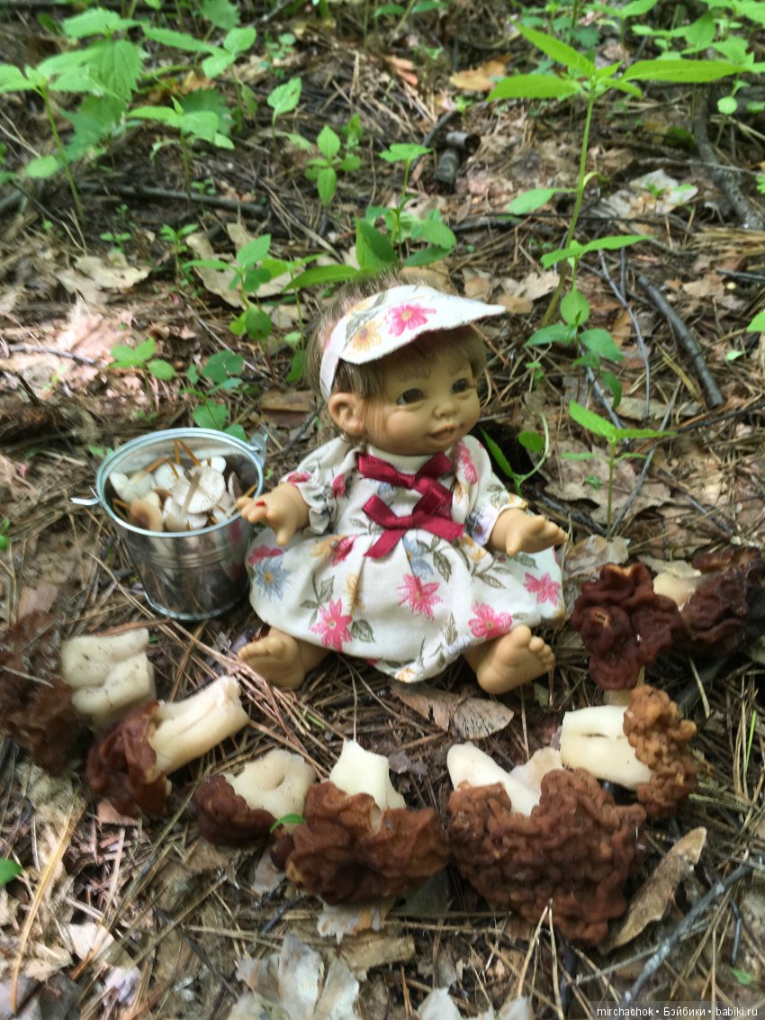 Весенний лес глазами Гришки (фото 5)