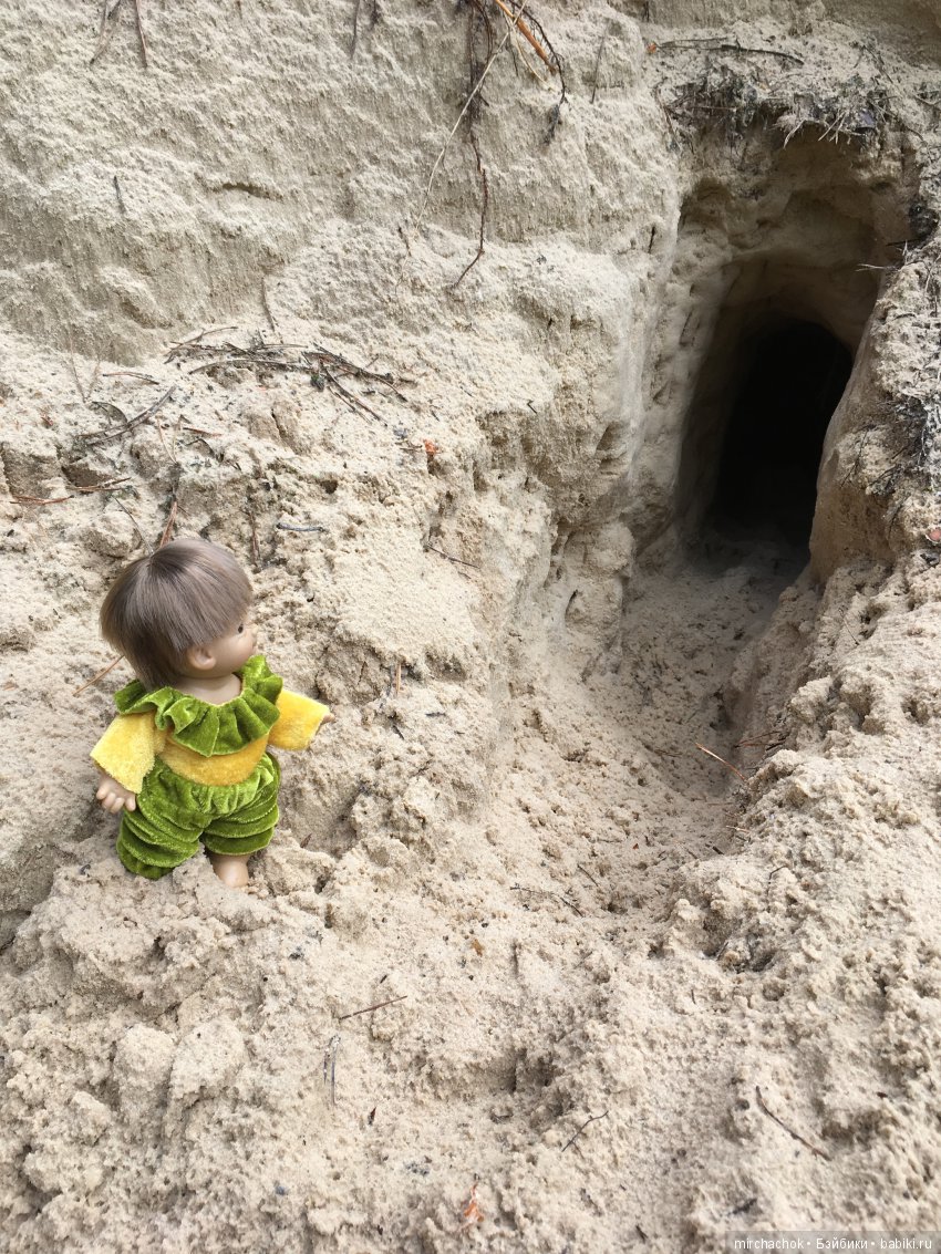 Весенний лес глазами Гришки