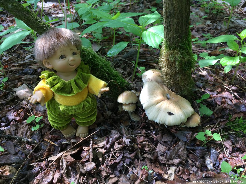 Весенний лес глазами Гришки