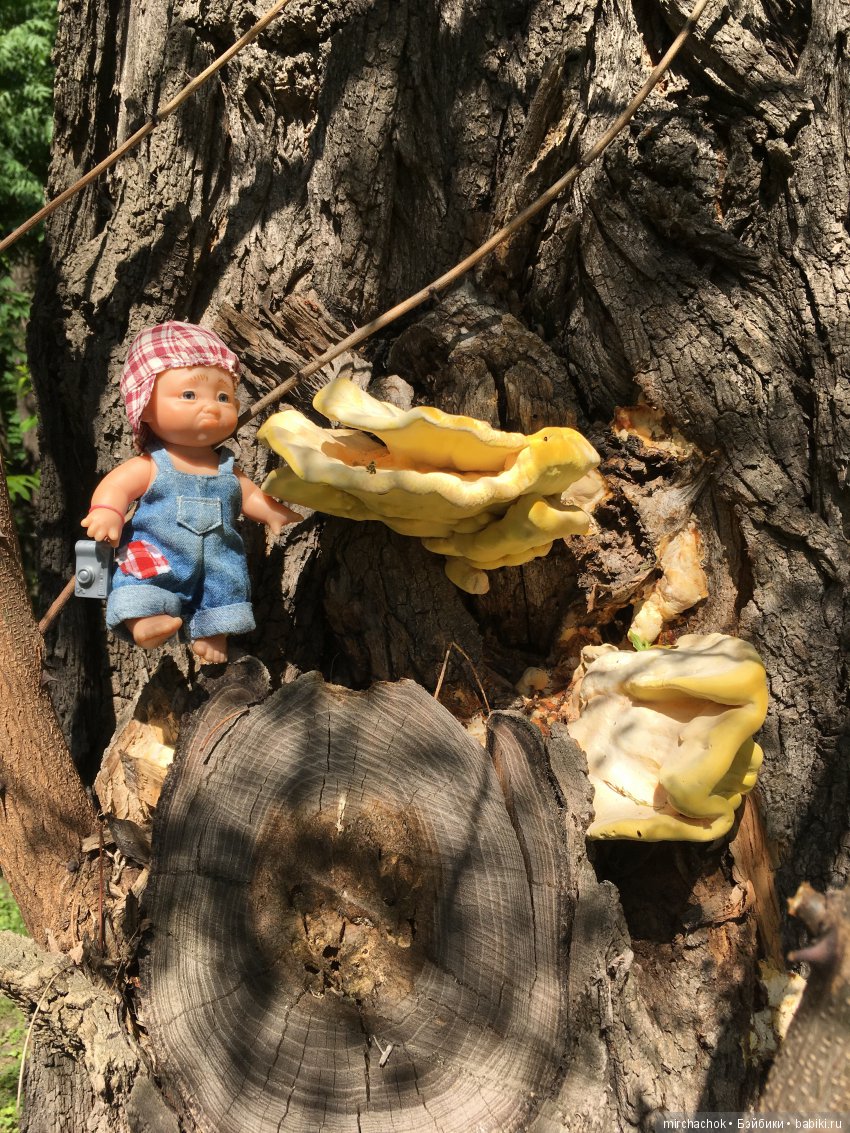 Как Обижулька свой страх преодолевал (фото 6)