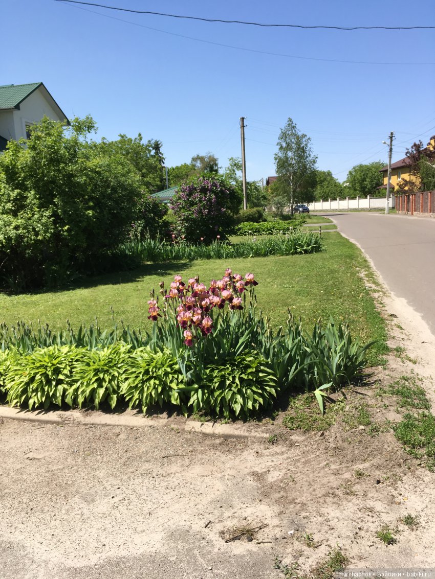 Как Обижулька свой страх преодолевал