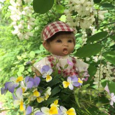 Белой акации гроздья душистые