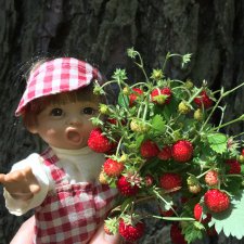 "грибалка" в земляничном раю! Гоша открыл летний сезон тихой охоты:)