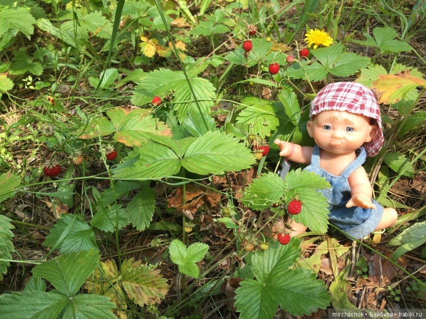 Как Данька реванш взял:) — Куклы D'Anton Jos (Д'Антон Джос): характерные