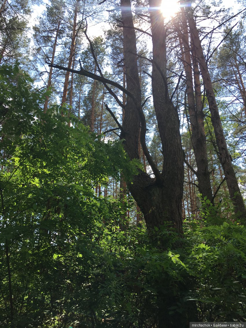 Как Данька реванш взял:) — Куклы D'Anton Jos (Д'Антон Джос): характерные