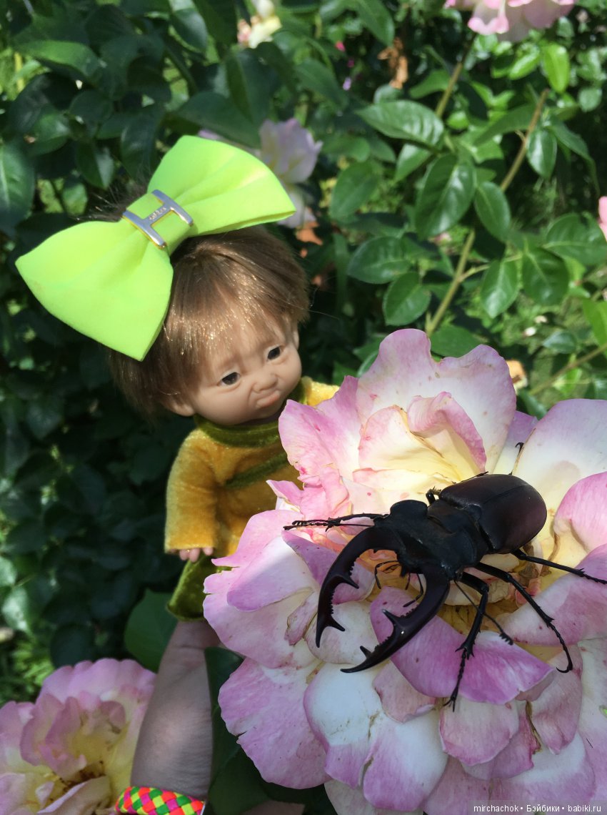 Добрый жук — Куклы D'Anton Jos (Д'Антон Джос): характерные