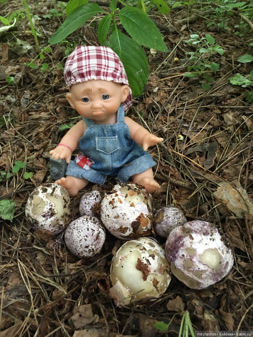 Как Данька реванш взял:) — Куклы D'Anton Jos (Д'Антон Джос): характерные