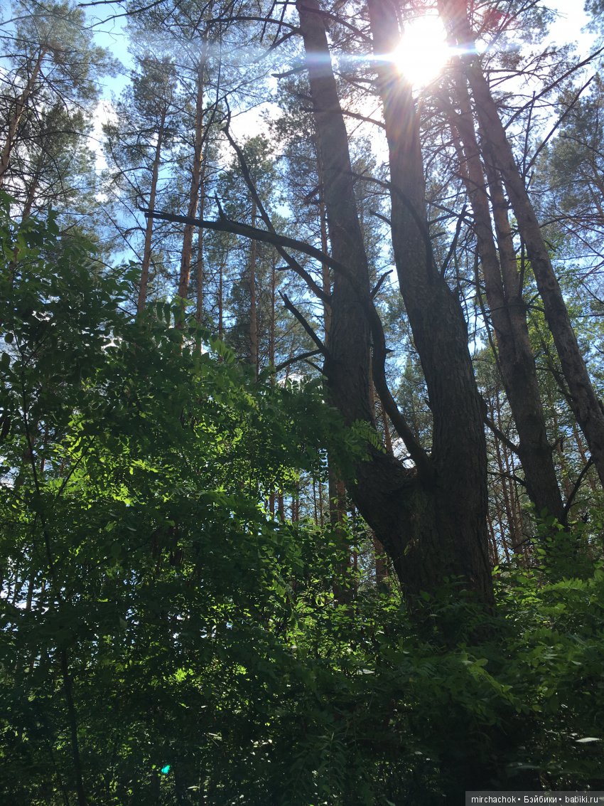 Как Данька реванш взял:) — Куклы D'Anton Jos (Д'Антон Джос): характерные