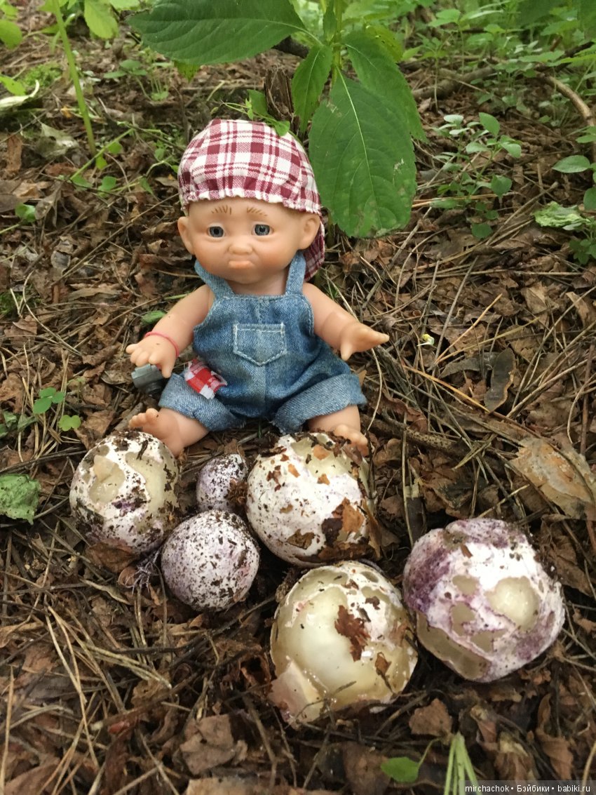 Как Данька реванш взял:) — Куклы D'Anton Jos (Д'Антон Джос): характерные