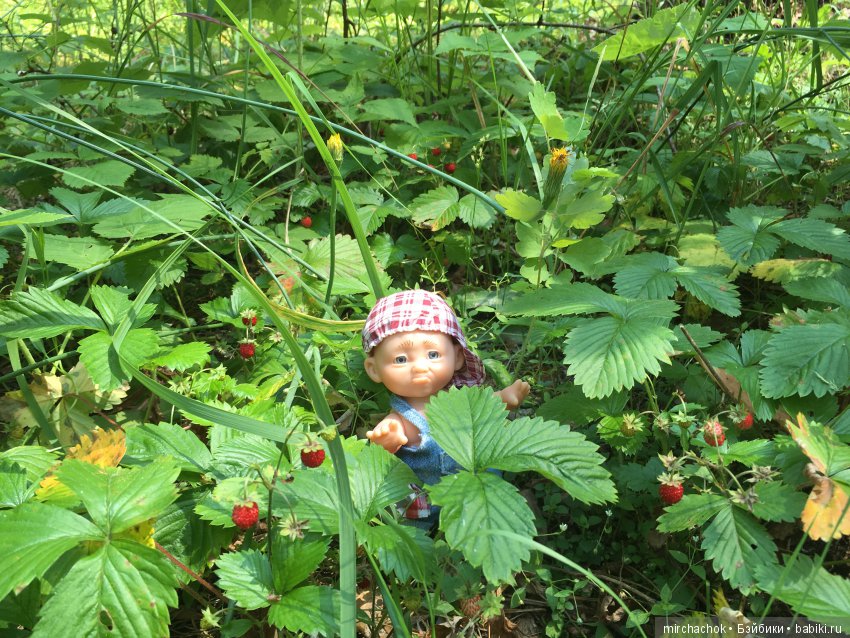 Как Данька реванш взял:) — Куклы D'Anton Jos (Д'Антон Джос): характерные