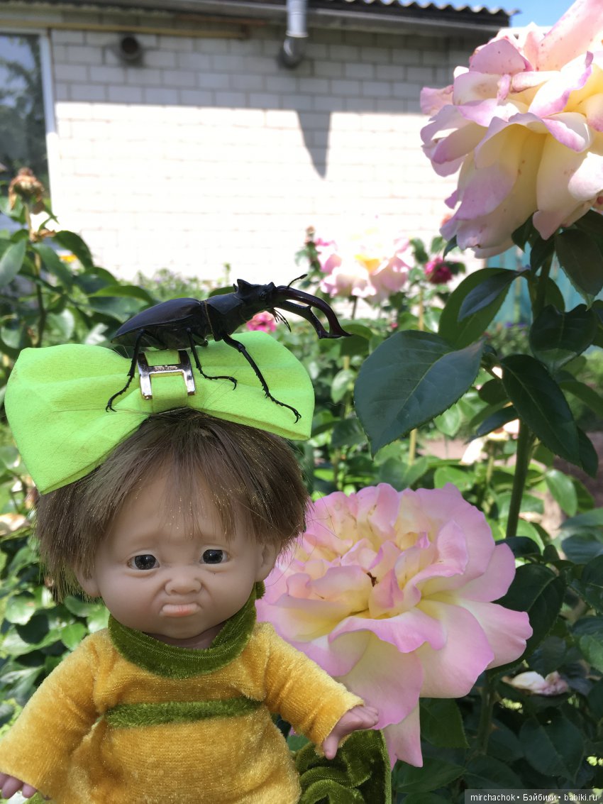 Добрый жук — Куклы D'Anton Jos (Д'Антон Джос): характерные (фото 4)