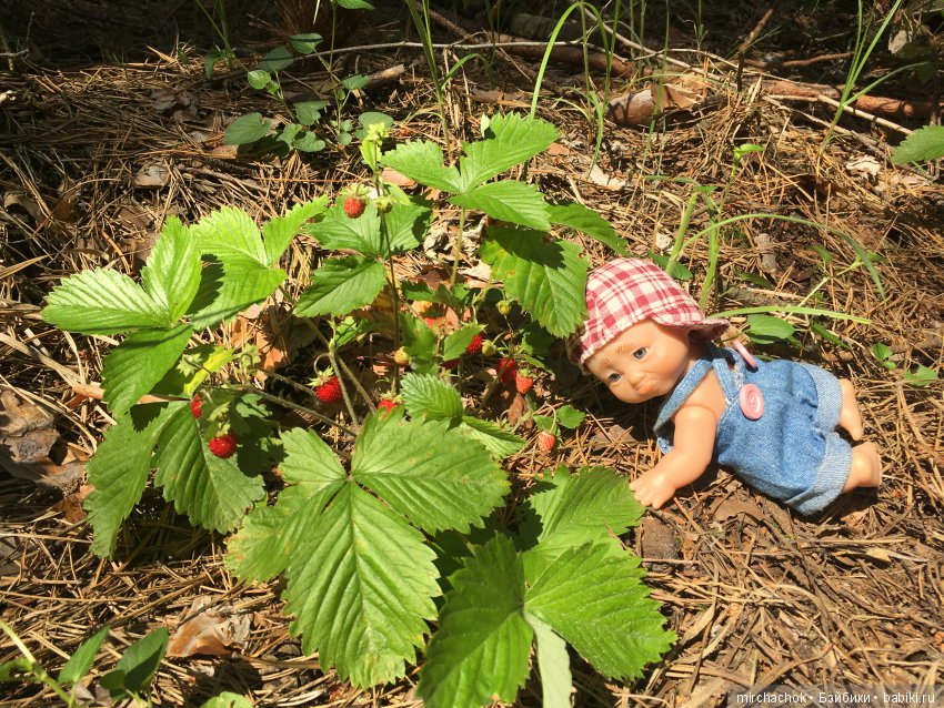 Как Данька реванш взял:) — Куклы D'Anton Jos (Д'Антон Джос): характерные