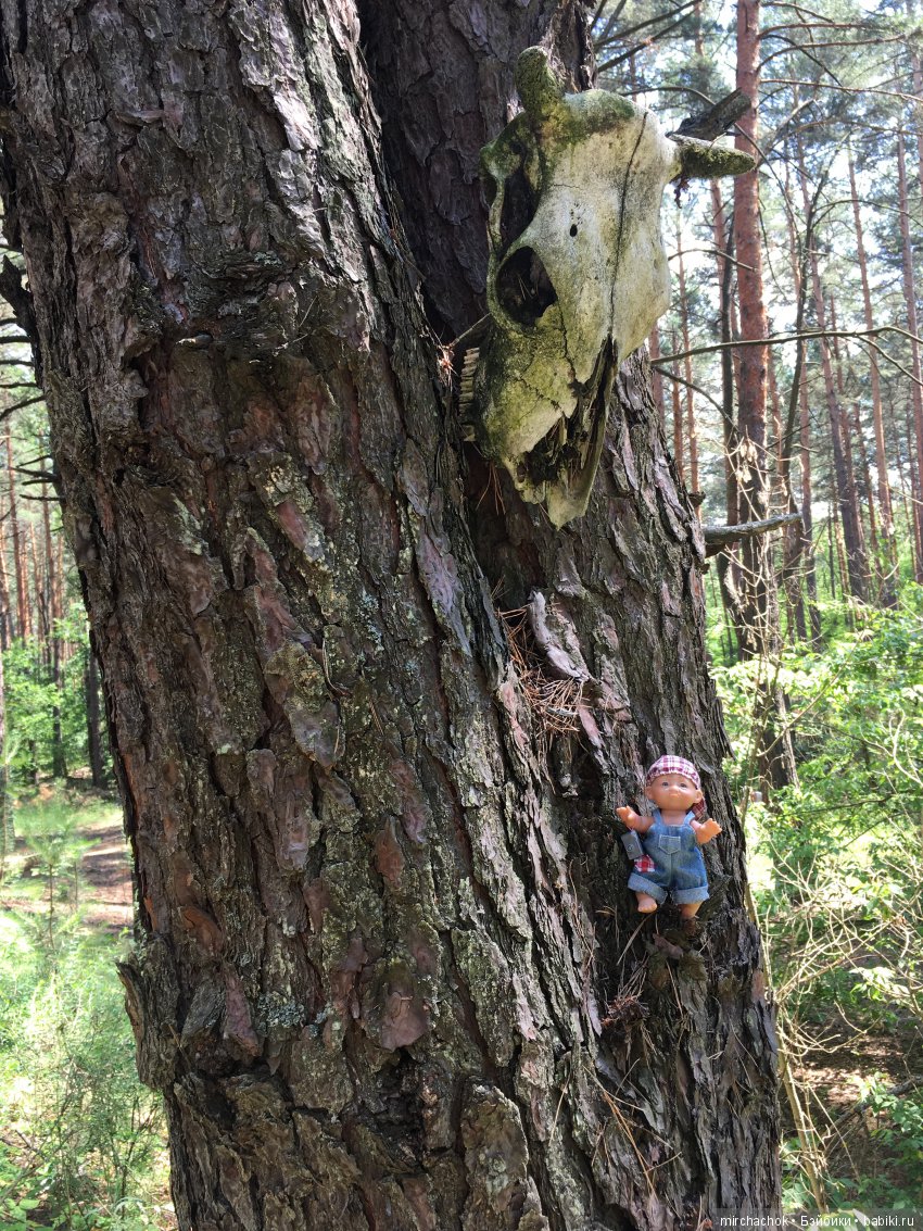 Как Данька реванш взял:) — Куклы D'Anton Jos (Д'Антон Джос): характерные