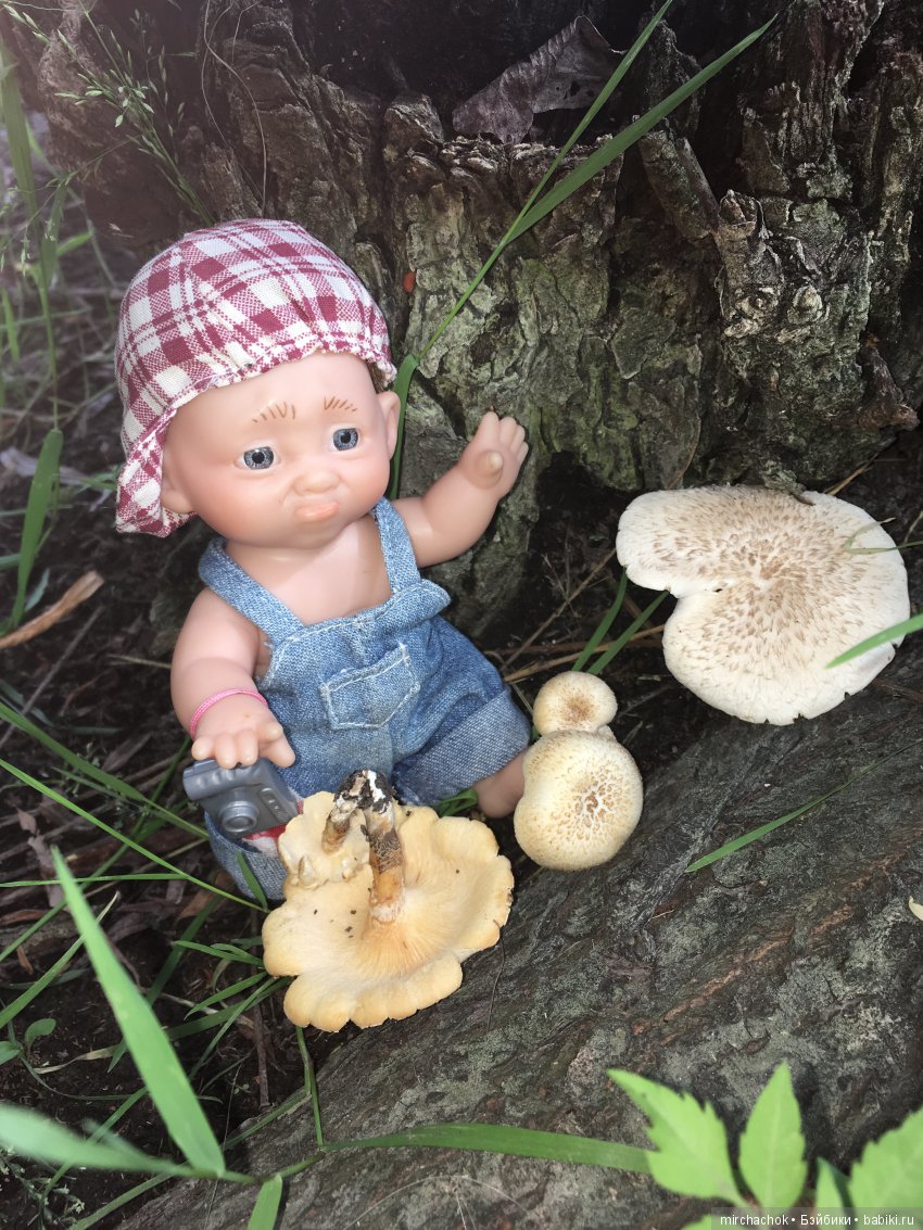 Как Обижулька прекрасную Русалку повстречал (фото 5)