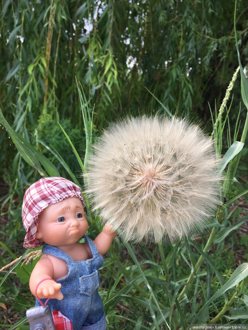 Как Обижулька прекрасную Русалку повстречал