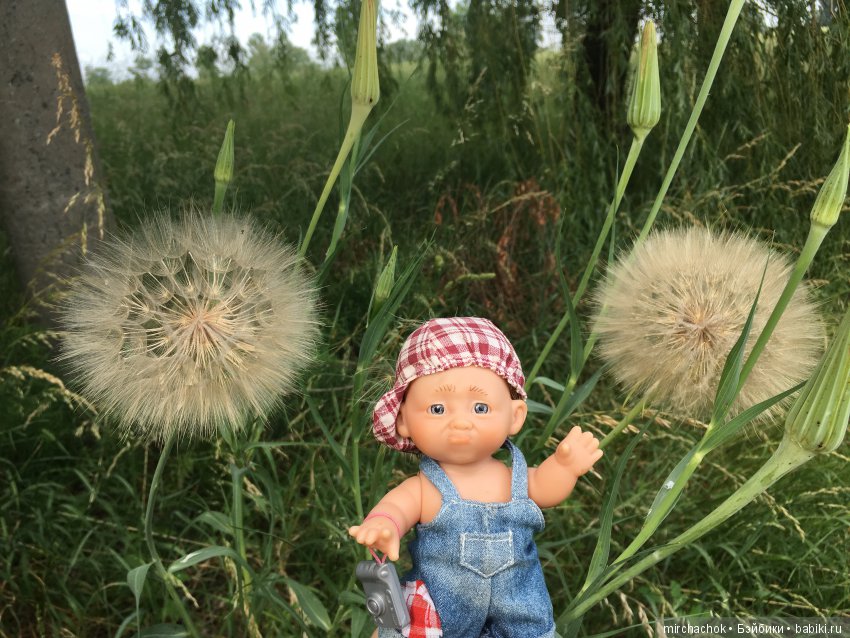 Как Обижулька прекрасную Русалку повстречал