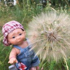 Как Обижулька прекрасную Русалку повстречал