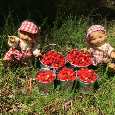 Мои сорванцы-добытчики