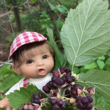 Обед в предгрозовом лесу для Гоши