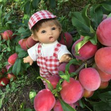 Туземцы племени Ням-Ням. Гриша и Гоша изучают места обитания еды