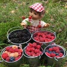 Ивана Купала! Приключения в праздничном лесу