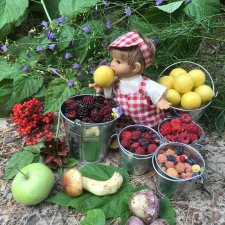 Пирогу с лесными ягодами - быть