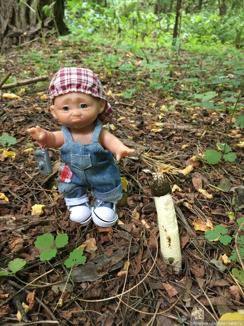 Данька побил собственный рекорд по сбору грибов (фото 9)