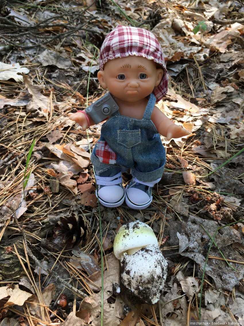 Данька побил собственный рекорд по сбору грибов (фото 3)