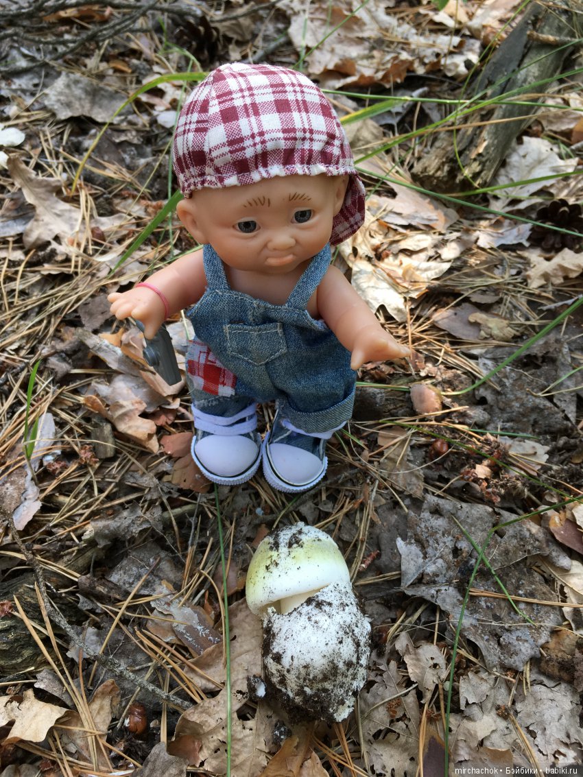 Данька побил собственный рекорд по сбору грибов (фото 2)