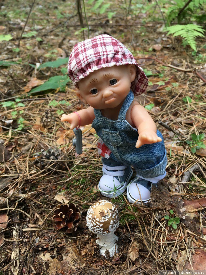 Данька побил собственный рекорд по сбору грибов (фото 5)