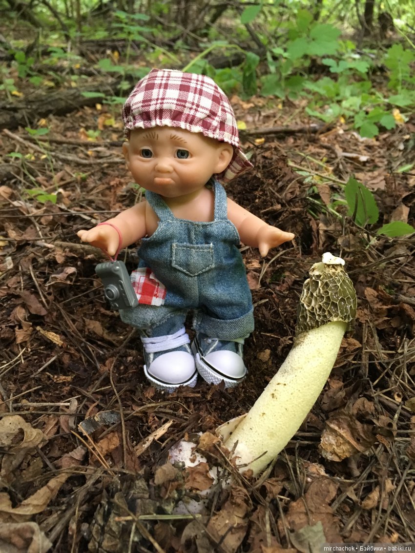 Данька побил собственный рекорд по сбору грибов (фото 10)