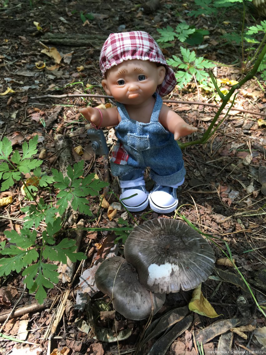 Данька побил собственный рекорд по сбору грибов (фото 8)