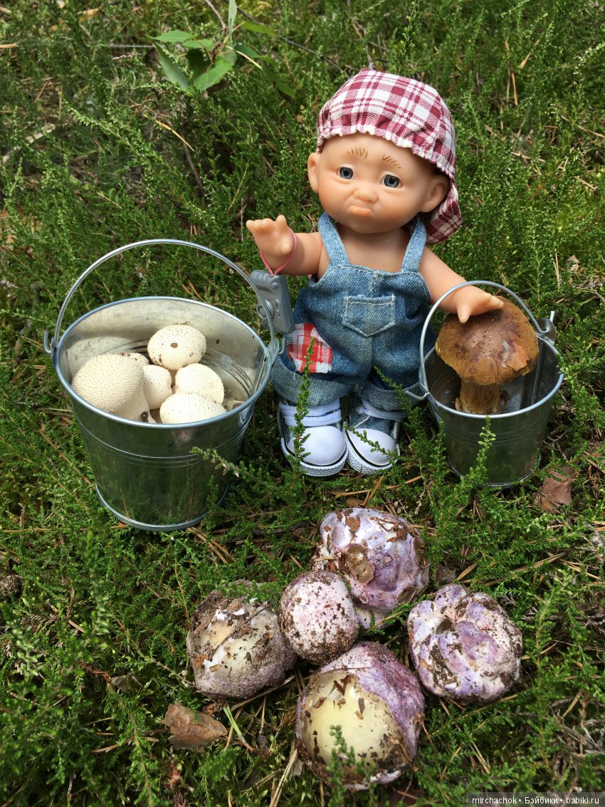 Данька побил собственный рекорд по сбору грибов