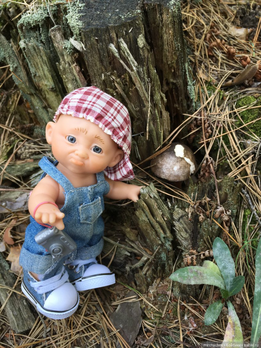 Данька побил собственный рекорд по сбору грибов (фото 7)