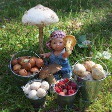 Данька побил собственный рекорд по сбору грибов!