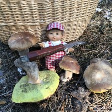 Гошина грибалка