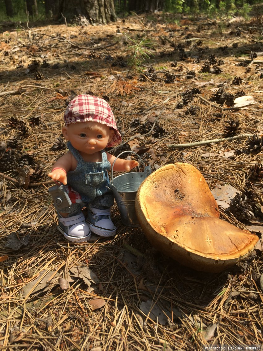 Как Данька с волной летних Белых прощался (фото 10)