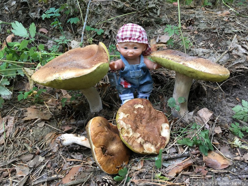 Как Данька с волной летних Белых прощался