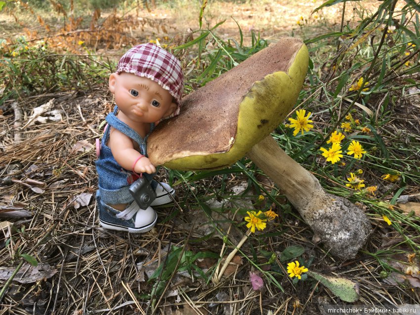 Как Данька с волной летних Белых прощался