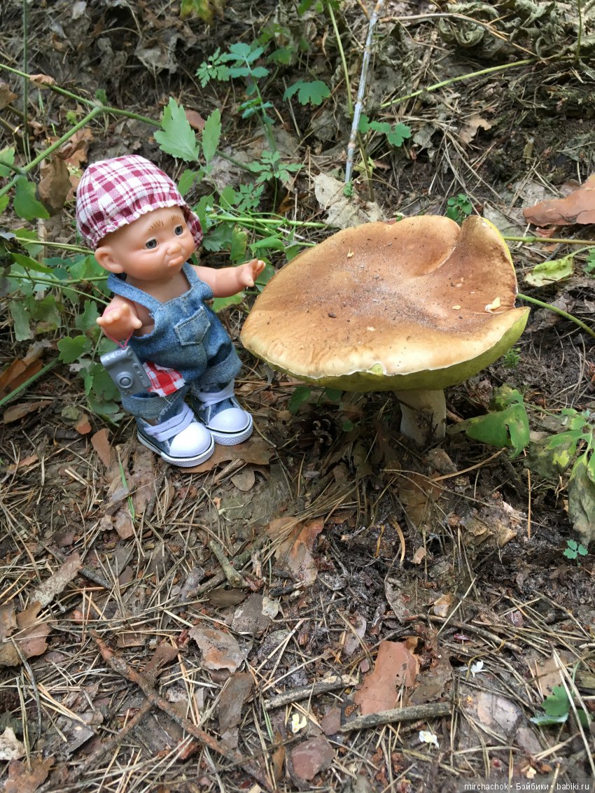 Как Данька с волной летних Белых прощался