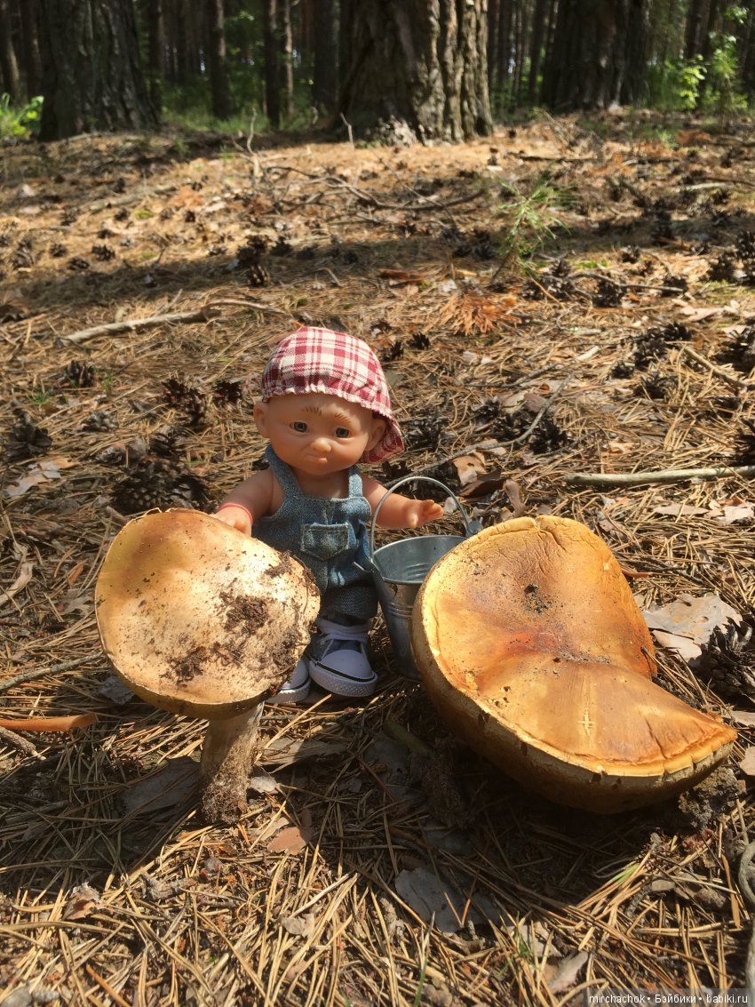 Как Данька с волной летних Белых прощался (фото 8)