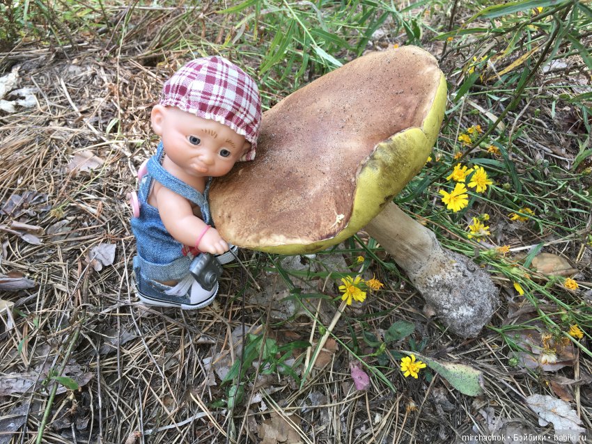 Как Данька с волной летних Белых прощался