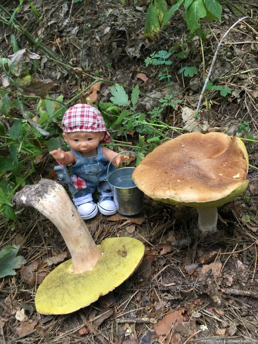 Как Данька с волной летних Белых прощался