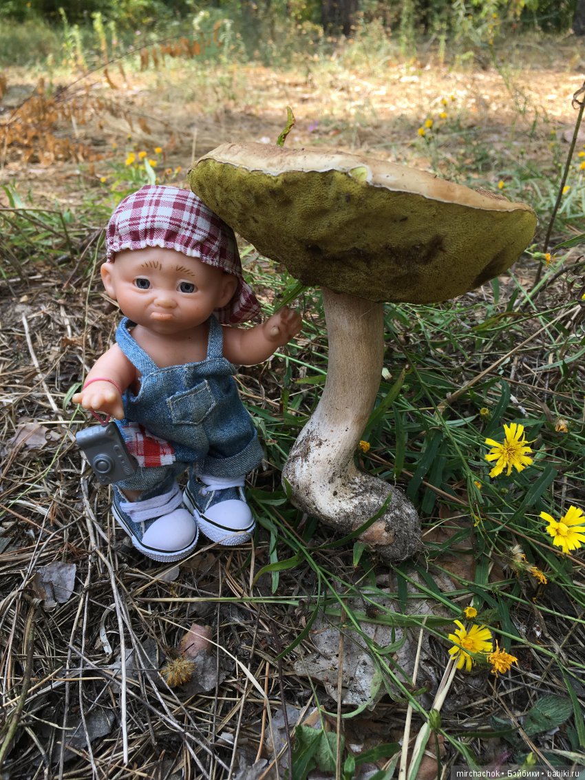 Как Данька с волной летних Белых прощался