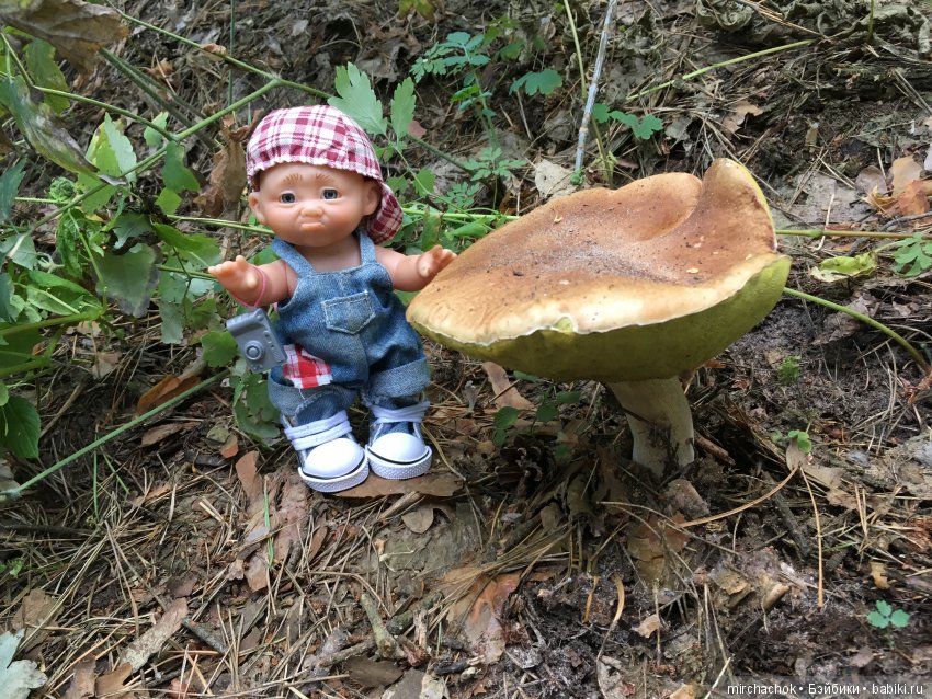 Как Данька с волной летних Белых прощался