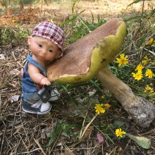 Как Данька с волной летних Белых прощался