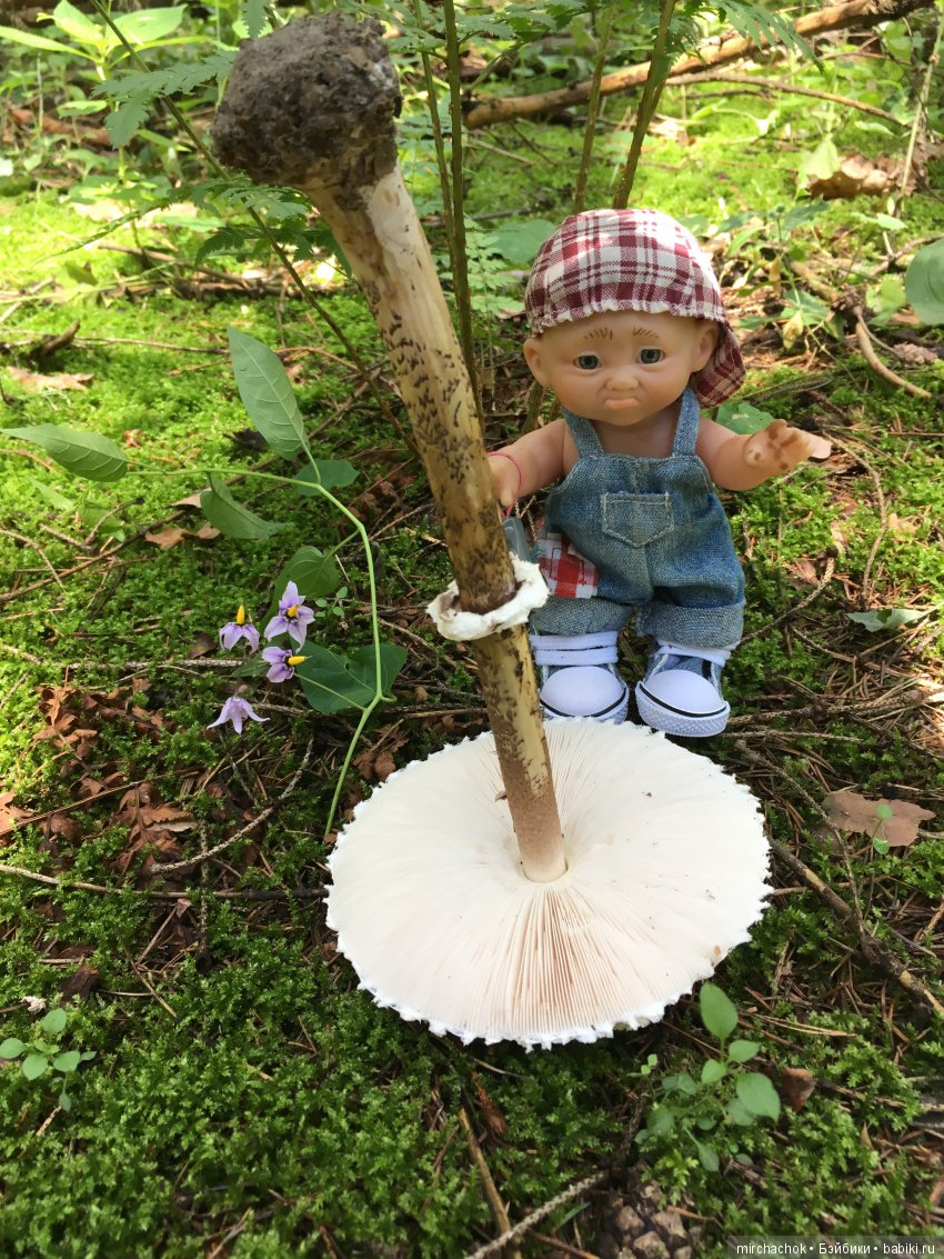 В погоне за дождиком а ещё небольшой урок по «грибологии» от Даньки